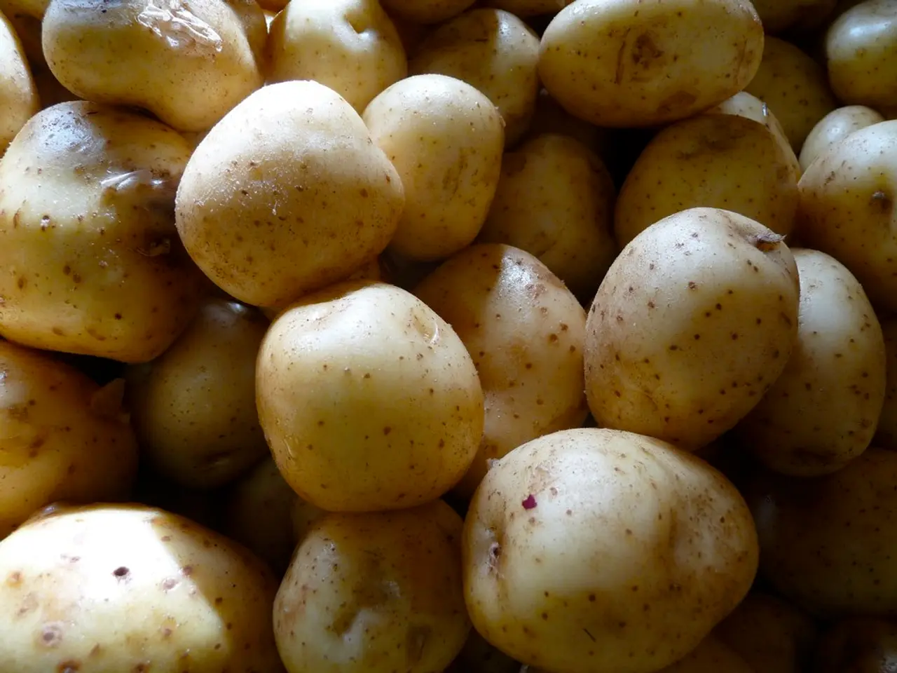 Penalty for Potato Refusal: Proposed Fines