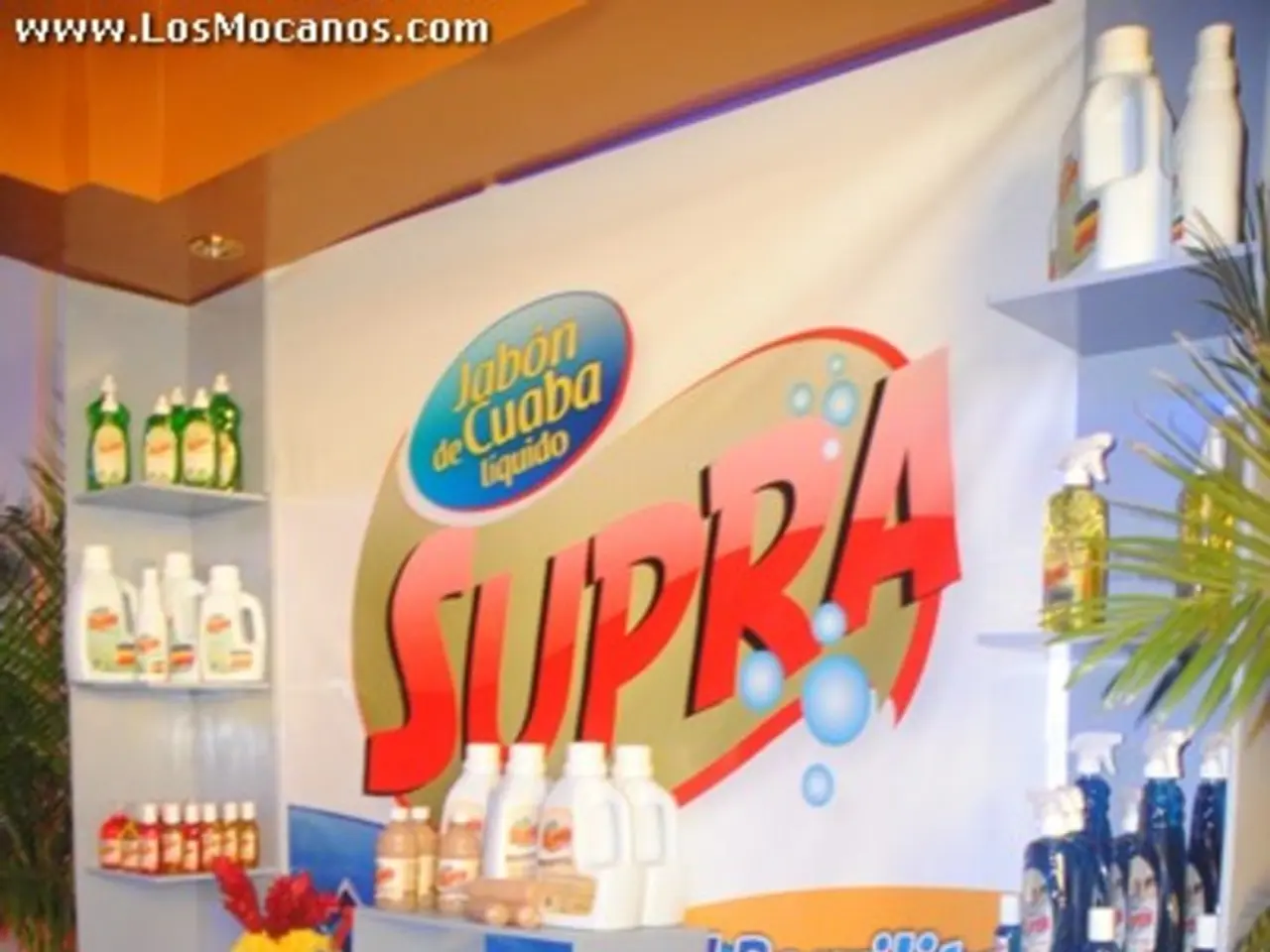 Merged Offerings: The Blurring of Goods and Services