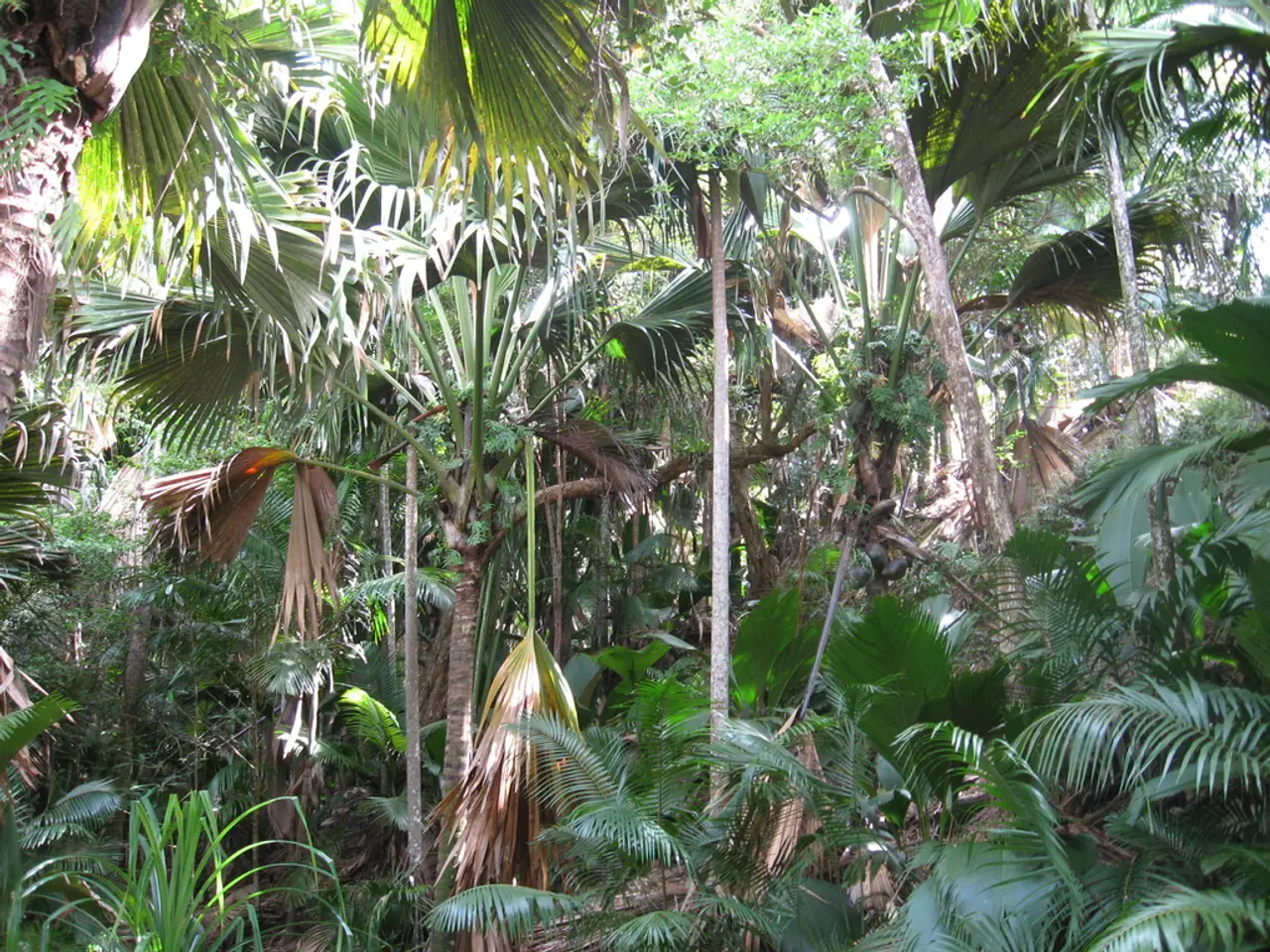 Logging Operations in Shopping Cart-like Containers: Deforestation Explained