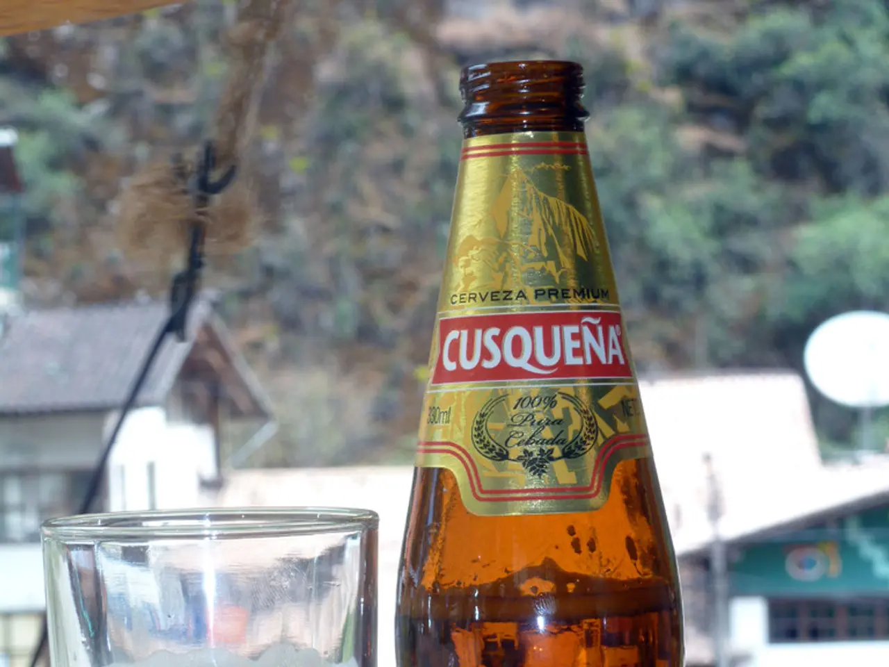 Decline in Wine Production: CAUSES Identified