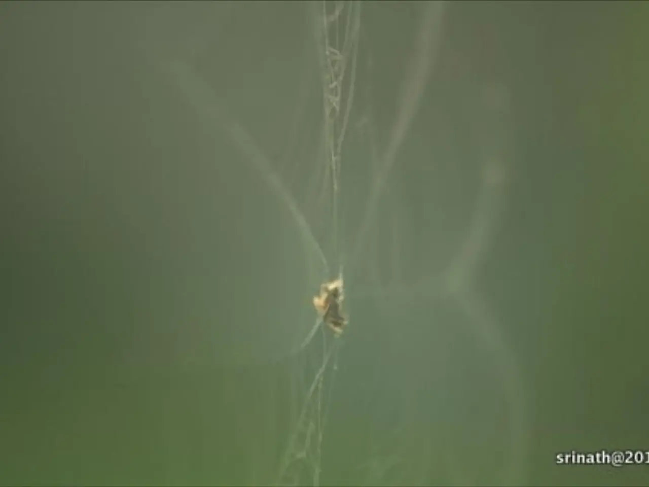 Alteration in Data Elimination Policy Announcement by NPL