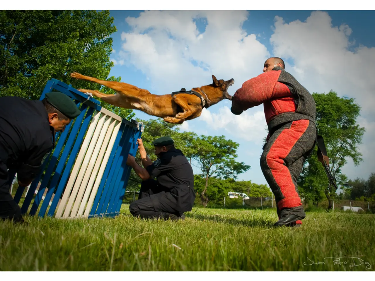 Deadline for Lead Plaintiff in Altimmune Lawsuit Approaching on October 6, 2025 - Notified by Levi...