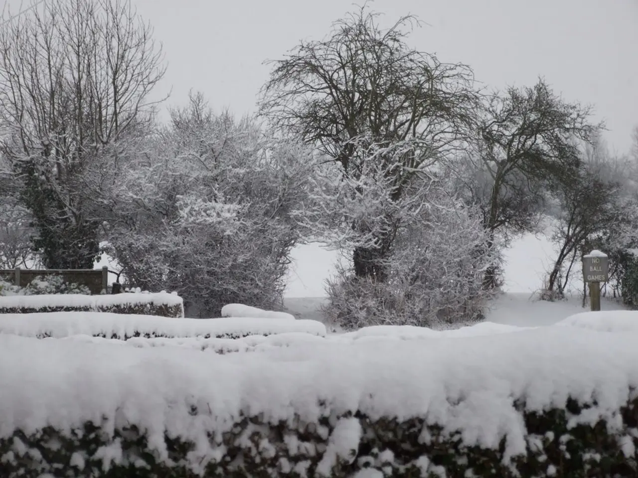 Financial Backers Plan to Sue Entain Over Deteriorating Stock Value