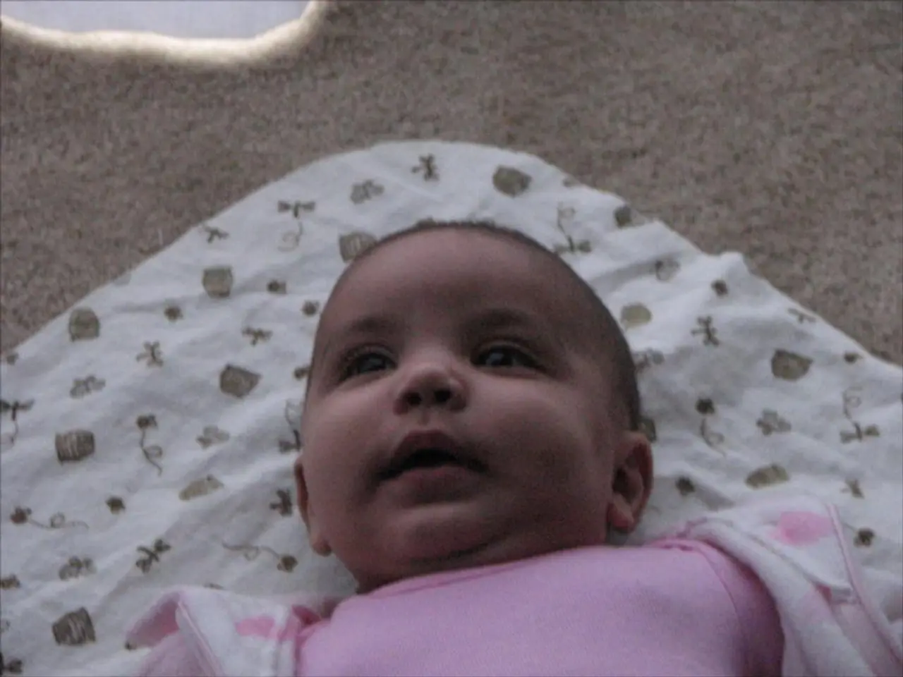 The baby clothing market is projected to expand significantly, potentially reaching a staggering...