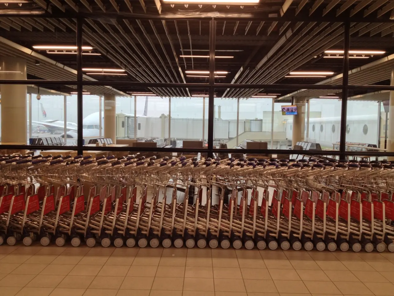 In the picture we can see the airport waiting hall with many luggage holding carts and behind it,...