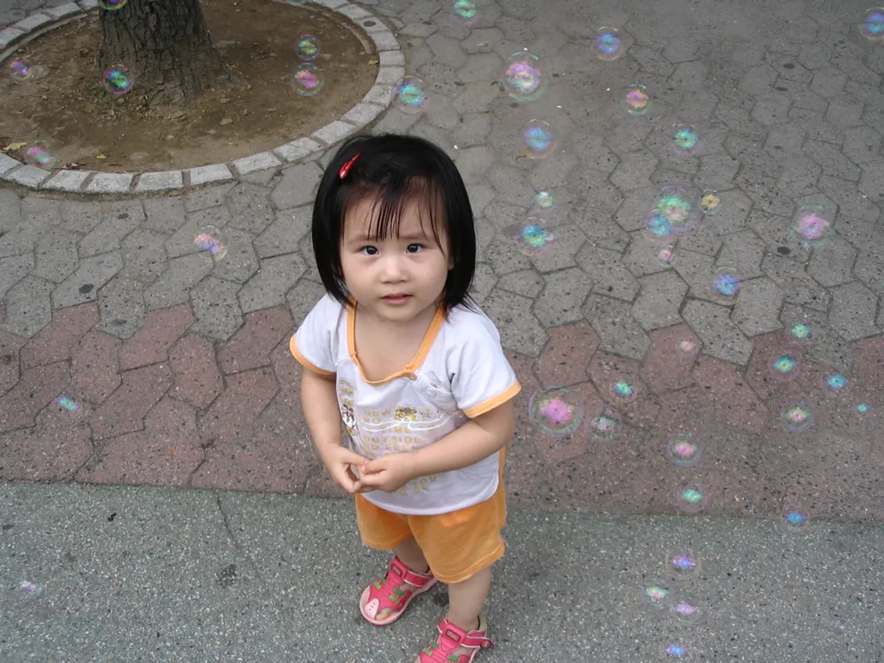 In this image there is a child standing on the ground, the child is truncated towards the bottom of...