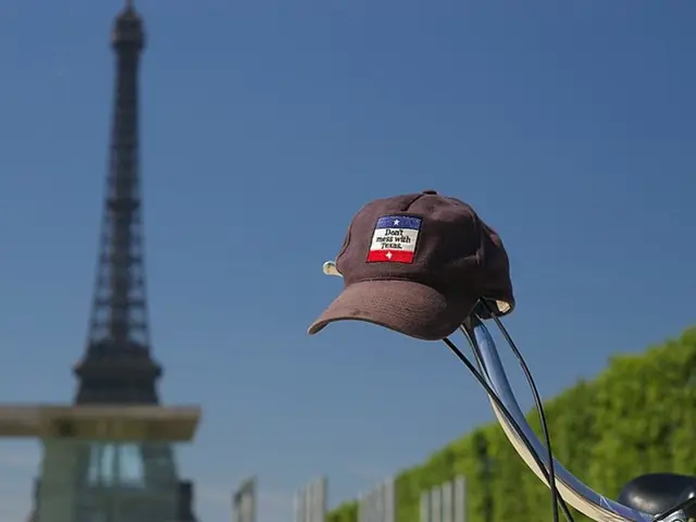 French legislators deliberate on a temporary halt in the expansion and renewal of green energy...