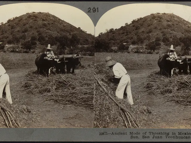 Shares of Continental Corporation witness another surge in value