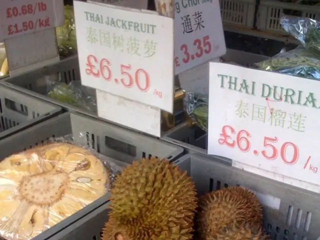 Market Trends: Increasing Demand for Personal Fruit and Vegetable Use