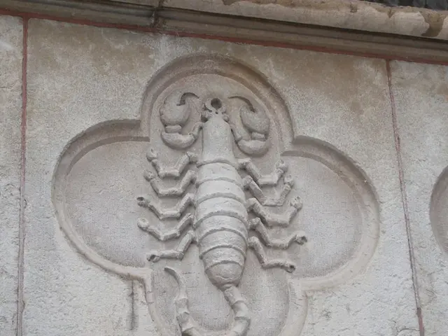 Rental Opportunity for Controversial Shark House, Famous for Nationwide Planning Disputes