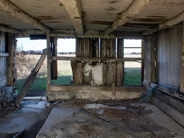 Dividend Reinvestment: Potential Thousands in Additional Wealth through Automatic Buying