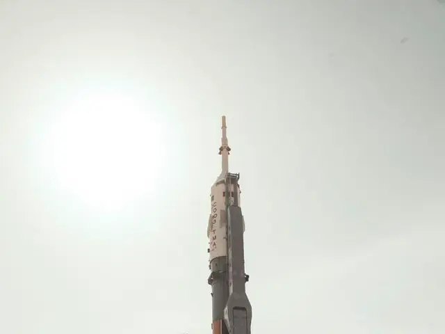 Investment Firms Speculating Market