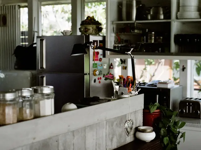 Strategies for Navigating Financial Expenses amidst High Living Expenses