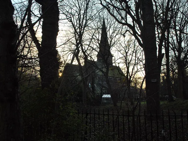 Turning 26 and uncertain about insurance? Here's a rundown on insurance-related matters you need to...