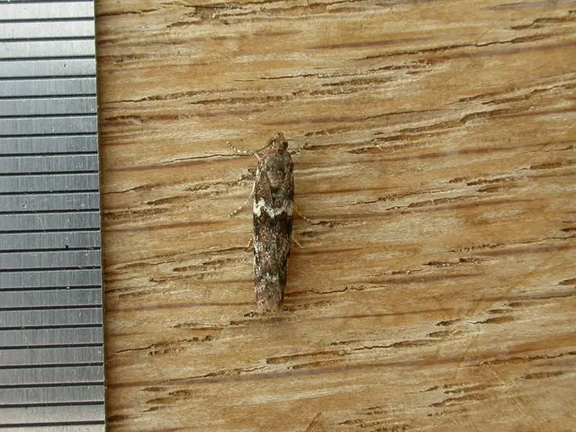 Steel organizations push for swift resolution to the lingering doubt surrounding tariffs