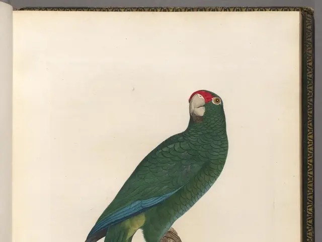 Billionaire Tycoon Warren Buffet Sounds Alarm for Wall Street, Predicting Stock Market Trends Based...