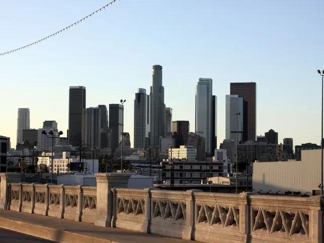 Impact of Social Security Privatization on 401(k) Retirement Plans