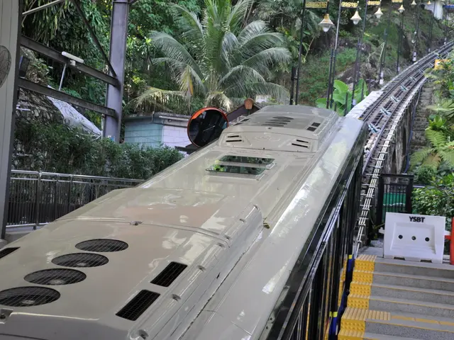 Rail service disrupted: Seasoned travelers forced to seek alternate transportation options