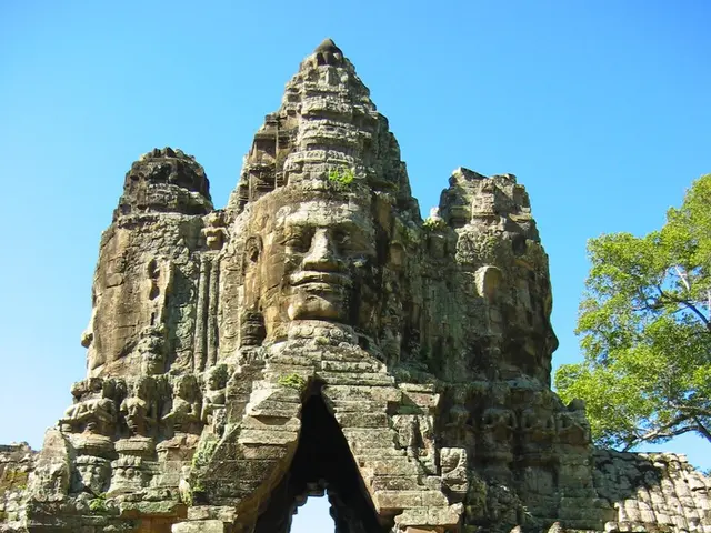 Cement designs patterned after elephant ears promise energy reduction and cooler buildings