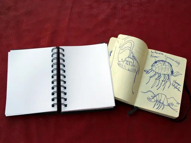 The U.S. Twin Deficits: More Than a Cosmetic Issue?