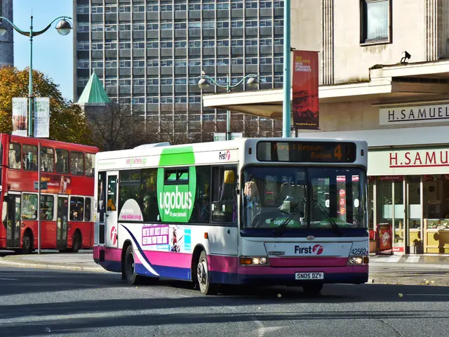 Mobility within urban areas disrupted due to the appearance of the "New Year's wanderer"