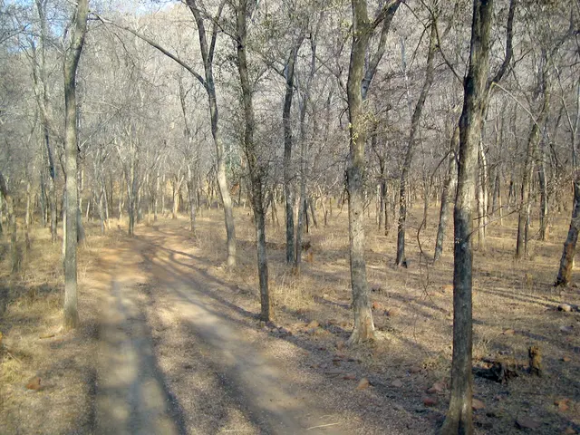 Forest-based Economic Activities in Muskingum County