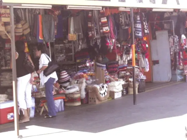 SEC Grants but Pauses Bitwise ETF, Providing Broad Cryptocurrency Index Fund Exposure