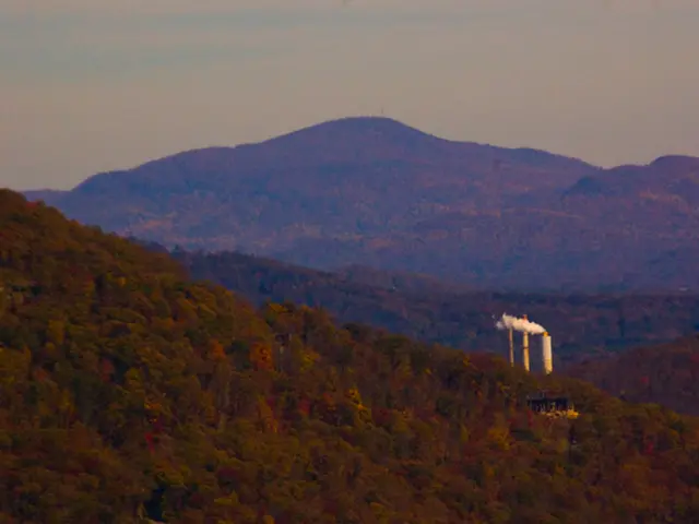 Is there a potential boost in coal production to help make America thrive under the 'Make America...