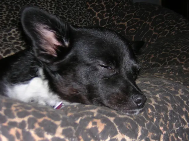 Directors of Sleep Cycle, acting independently, advise shareholders to reject the monetary proposal...