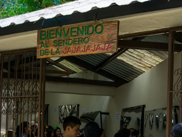 Kingboard Experiences Significant Revenue Growth in the First Half of 2025