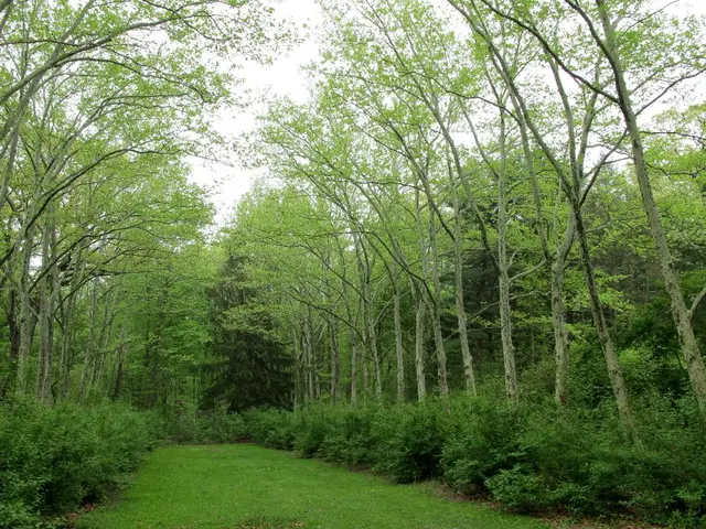 Investment advisory services introduced in Phenix's latest venture business