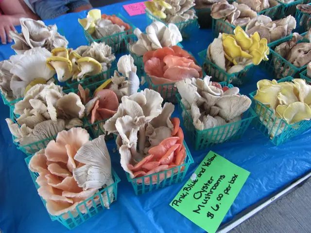 Historic drop in Bayer shares persists, suggesting potential for further descent.