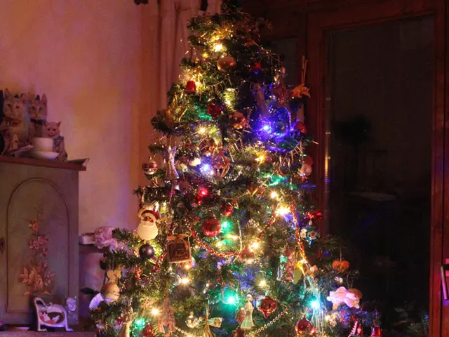 Creative and engaging Christmas social media content ideas for a vibrant 2025 timeline