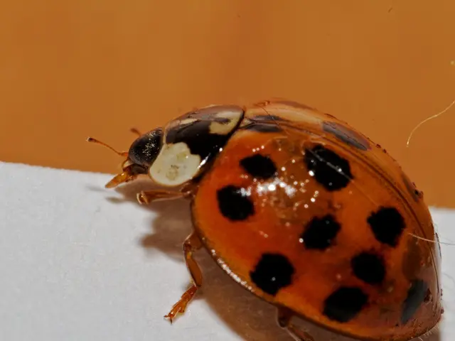 Unauthenticated Access Granted: Researchers Reveal Root Access Vulnerability in Cisco ISE Before...