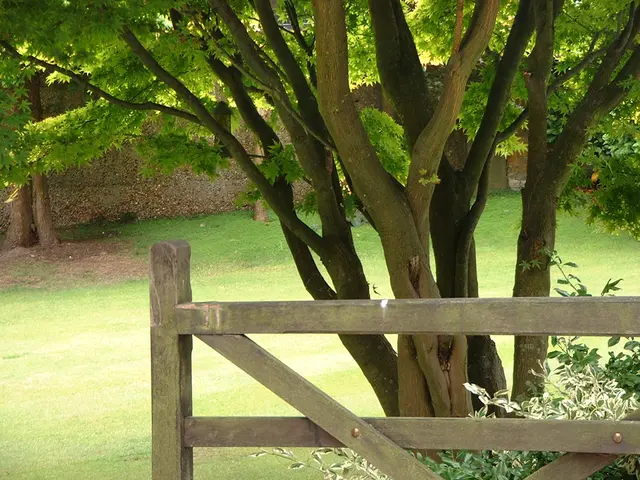 Golden principles shaping the Grey Belt's influence