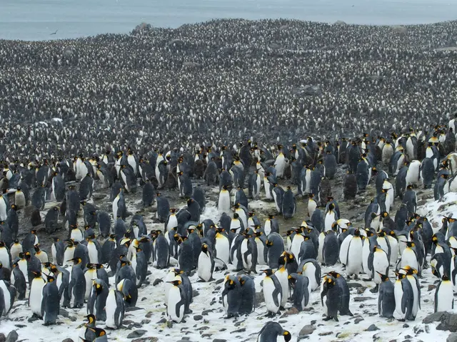 Antarctica's Hidden Energy Reserve Poised to Revolutionize Renewable Energy Generation