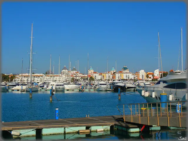 Exposé of Monaco Yacht Show 2025: Burgess' Comprehensive Insights