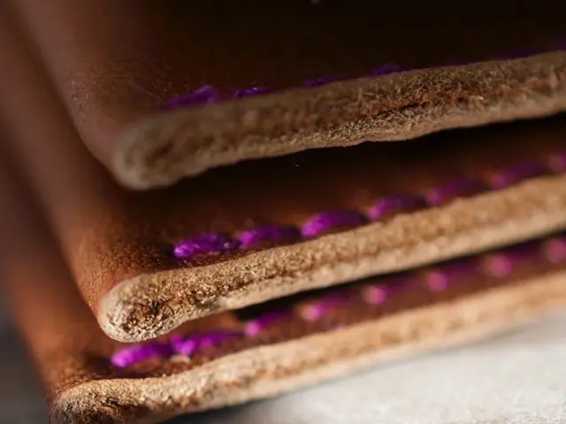 Sustainable Apparel Revolution: The Emergence of Plant-Based Material Leather in Fashion Industry