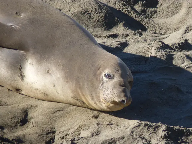 If you remove the seal on the meter, housing costs could potentially surge by a factor of 10