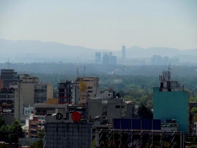 Increased quarterly post-tax earnings at Capri Global surpass double, reaching ₹175 crore in Q1