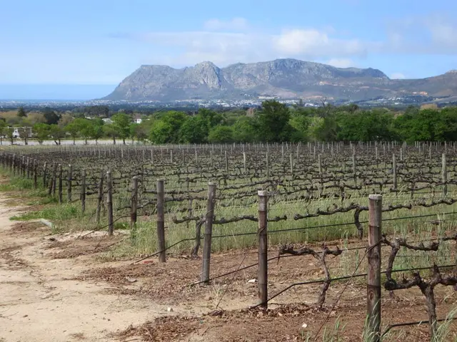 Comprehensive Examination of Farmland Value Trends in India Through Decades