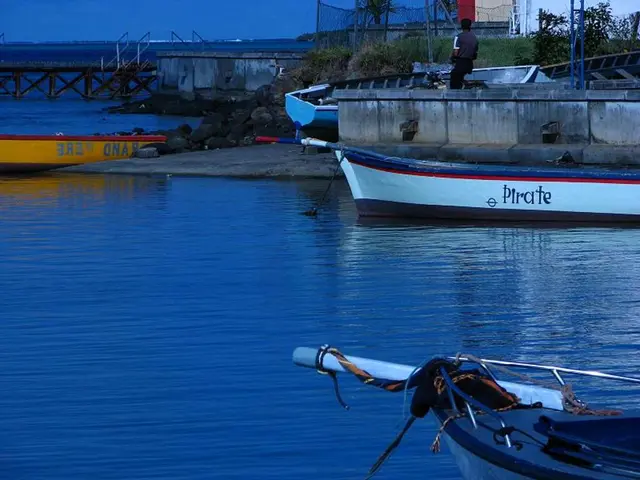 At the tender age of 23, burdened with a debt of $96,000 and annual income of only $75,000, is...