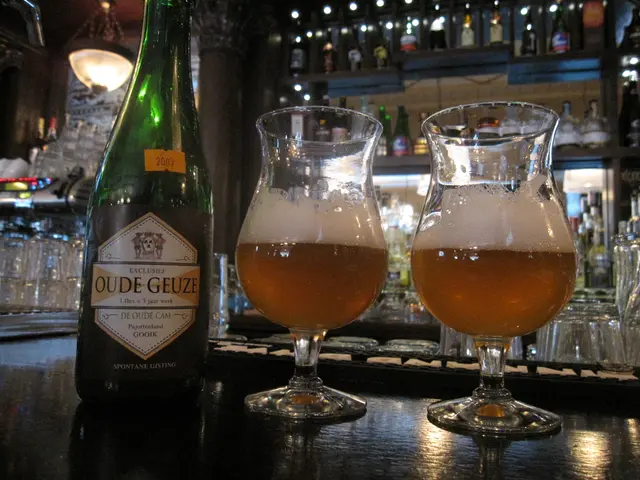 Unique Synergy of Beer, Tradition, and Gambling: Czech Leisure Activities at Their Best
