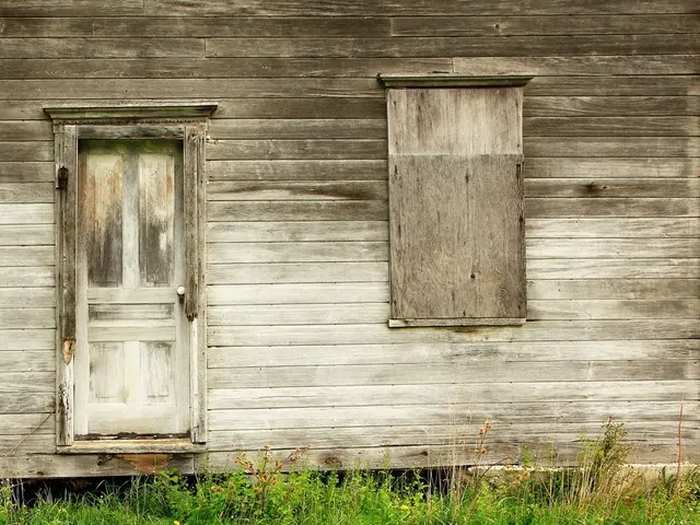 Landlords under criticism for substandard living conditions