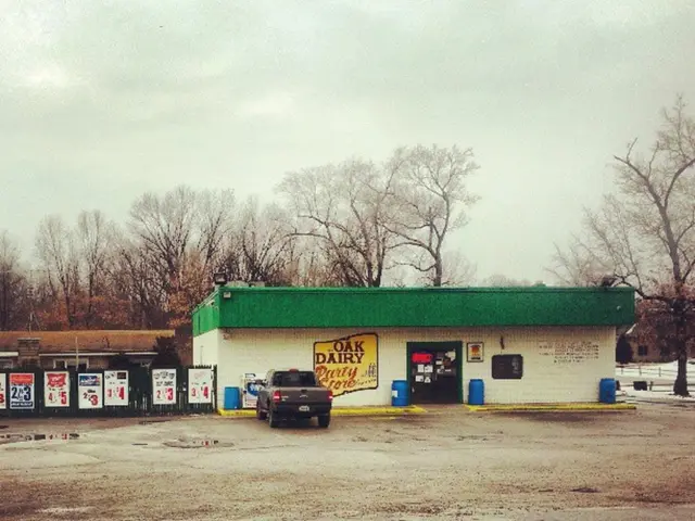 Determining the Value of Subsequent Funding: When is it Justified?