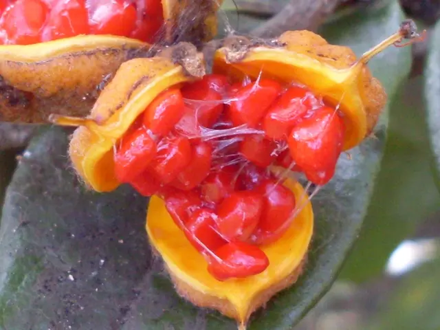 Taxation on agricultural products in Latvia to persist at a lower rate in the upcoming year