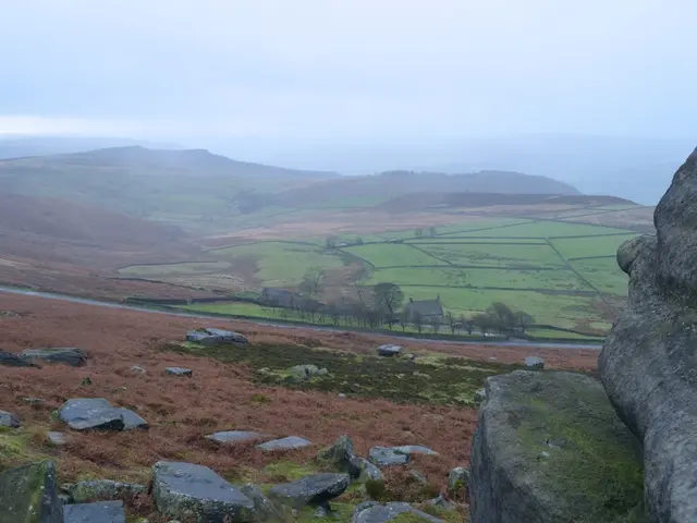 Government Discusses Tax Incentives for Extraction of Rare Earth Materials Within Mining Industry