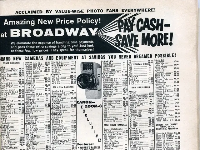 Essential insights for retail businesses regarding Pay-Per-Click advertisements prior to Black...