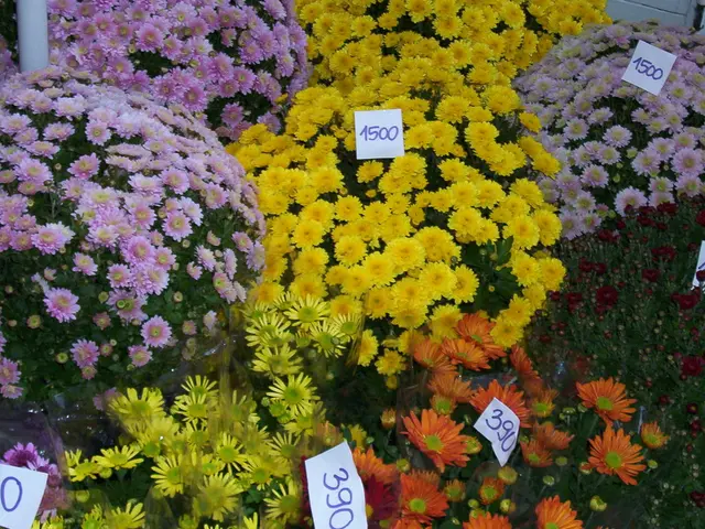 Tesla raises prices in Canada by up to 21% in response to imposed tariffs