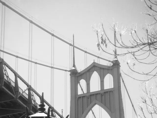 LayerZero Outlines $110 Million Repurchase Plan: Skyrocketing Prices for STG and ZRO